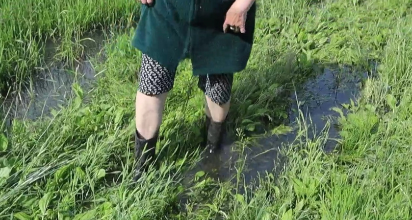 В Кирово-Чепецком районе зафиксирована утечка канализационных стоков