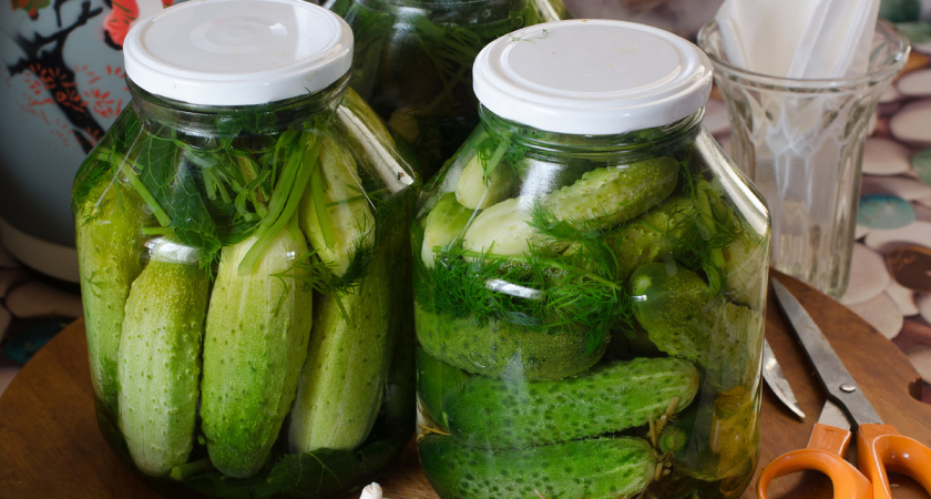 Готовлю пряный маринад по рецепту тещи уже 15 лет. Огурцы хрустят до весны без единого взрыва