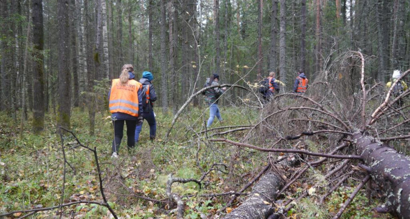 В Кирово-Чепецком районе пытаются найти молодую женщину
