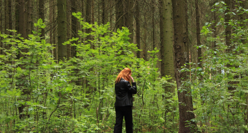 В Кировской области зафиксировали двукратное сокращение незаконных рубок леса