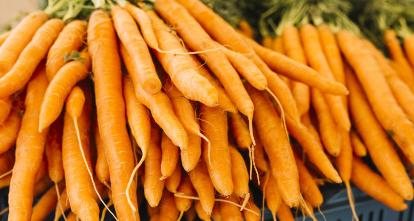 Поливаю морковь в августе по-особенному — корнеплоды не трескаются