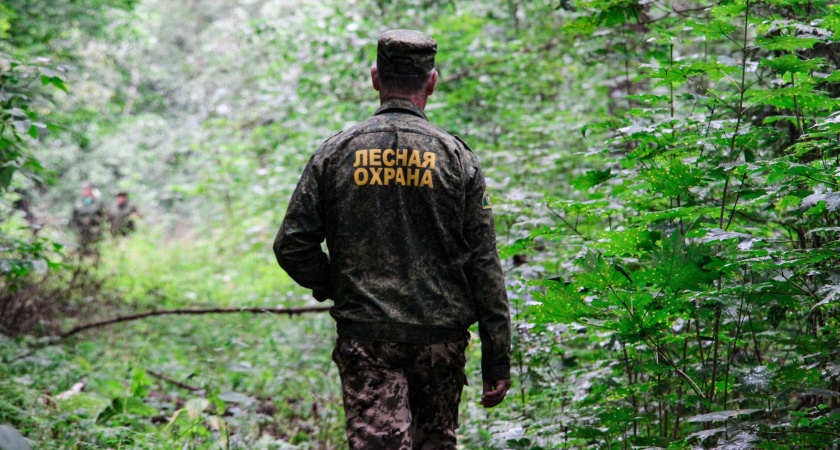 Особый противопожарный режим перестал действовать в Кировской области