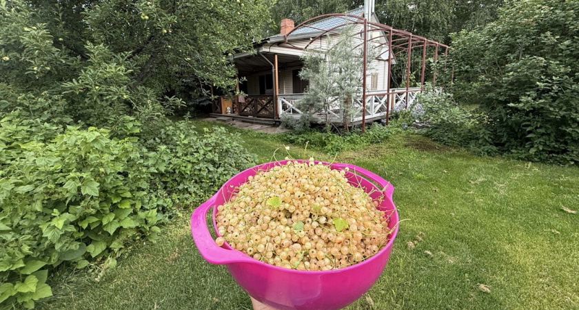 Что я поняла за 3 года жизни в загородном доме: плюсы и минусы