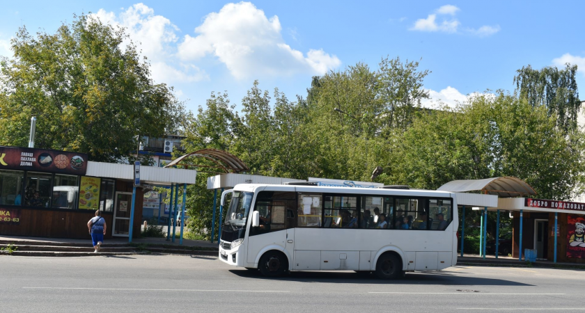 "Протащил пенсионерку два метра": в чепецком автобусе зажало руку пожилой женщины