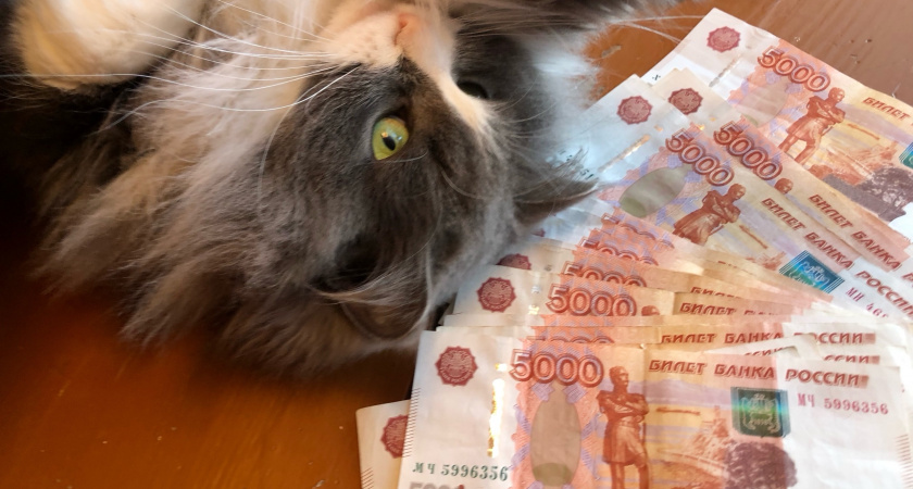 Жительница Петербурга рассказала, как выиграла 72 миллиона рублей в лотерею с помощью своих мыслей