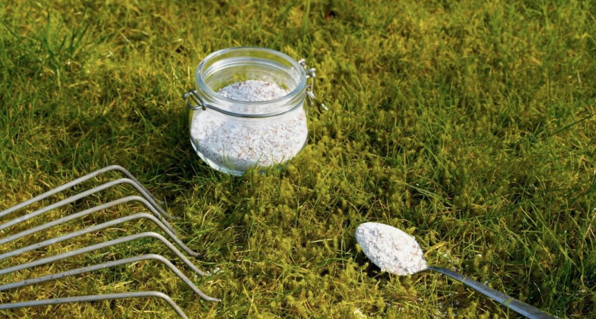 Сода против мха: проверенный способ очистить газон за 3 дня без химии