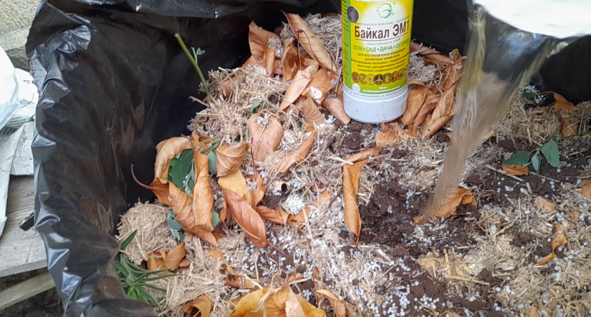 Быстрый компост - лучше, чем навоз. Расскажу, как я его делаю