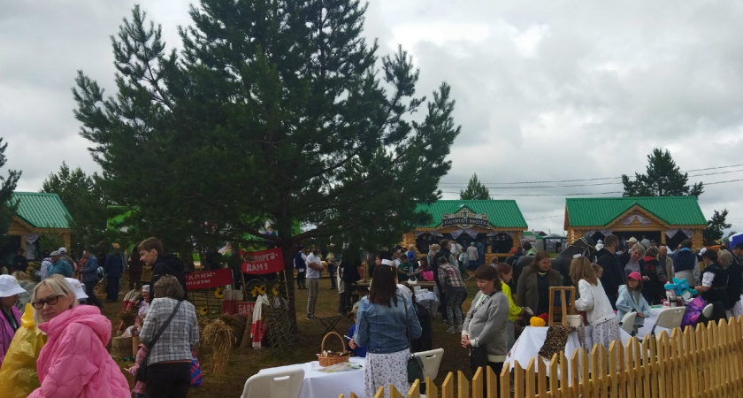 В Кирово-Чепецком районе пройдет эко-фестиваль "Новое село" (6+)