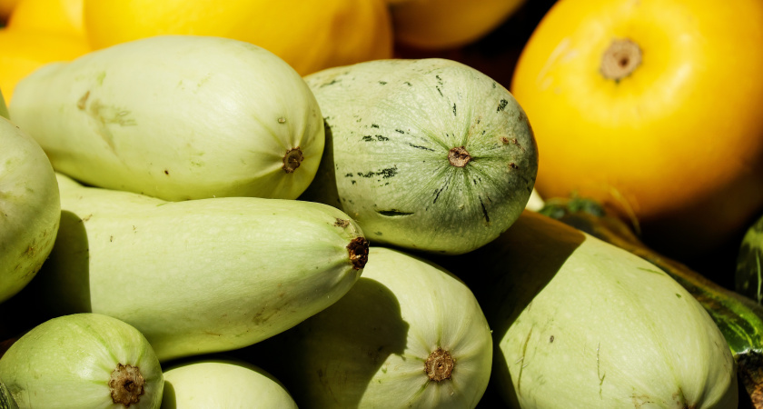 Закрываю хрустящие кабачки без варки за 30 минут. Дачница из Курска поделилась 3 принципами идеальной нарезки