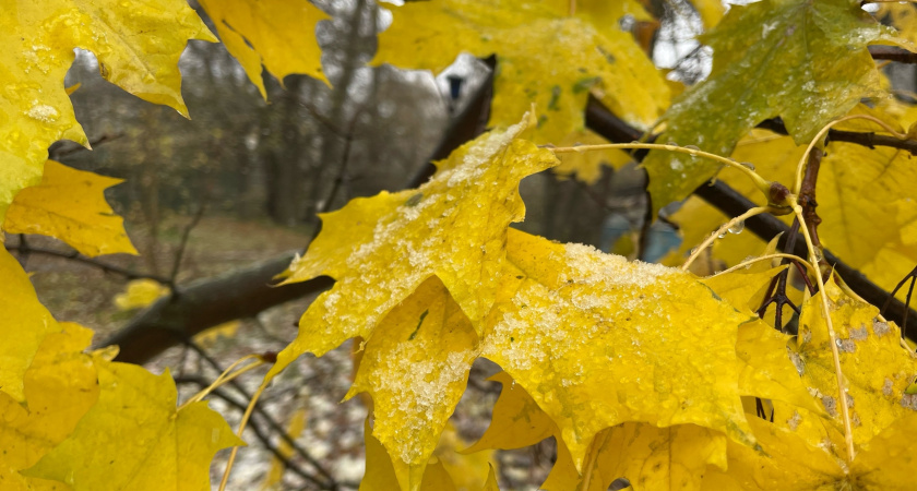 Придет ли бабье лето в Москву: прогноз синоптиков на сентябрь