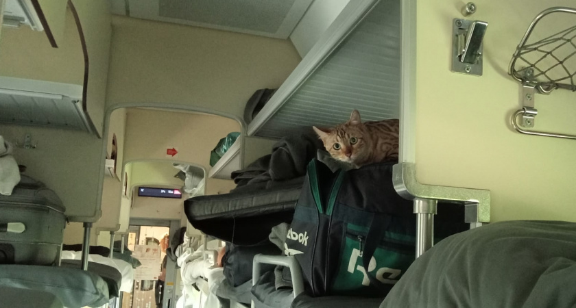 В Крым на поезде: еду продают на перроне, цены «лом»: вот как моя "адская" прошла поездочка