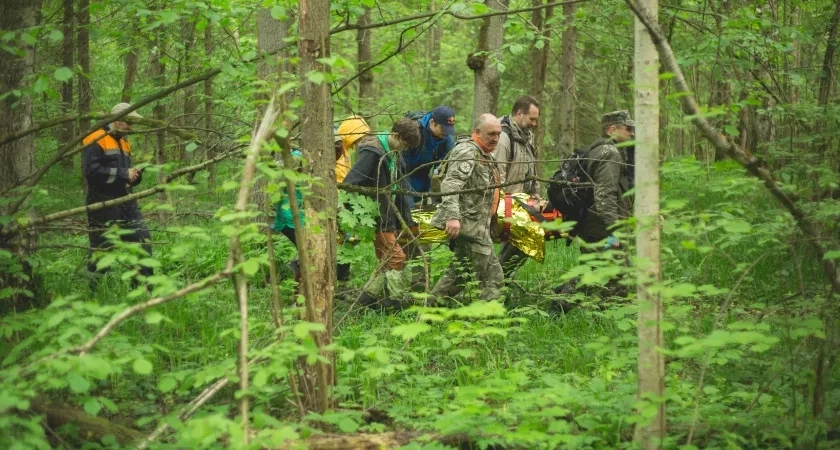 В Кировской области пропали двое мужчин в лесу