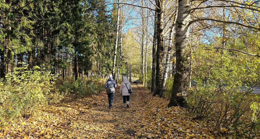 Метеорологи поделились, ждать ли жителям Кировской области теплую погоду в сентябре 