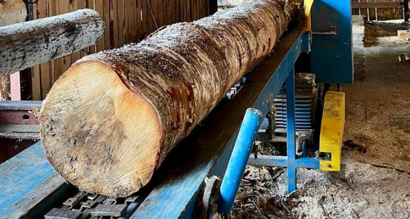 Рабочий травмировался на деревообрабатывающем производстве в Лебяжском районе