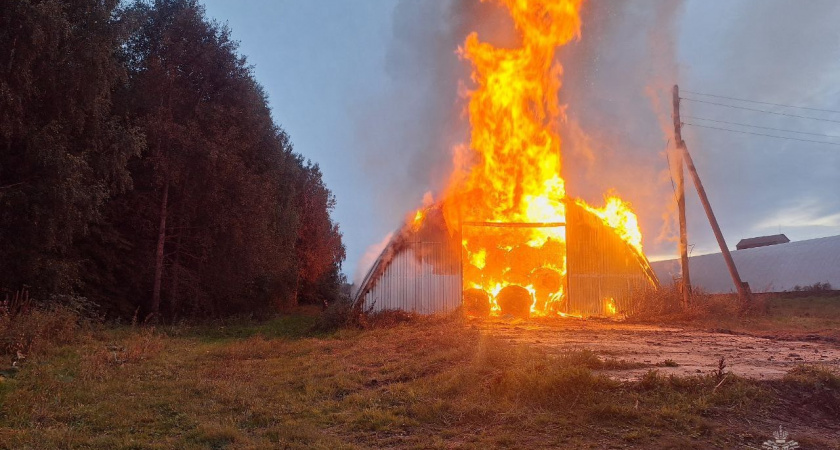 В Орловском районе загорелся сельскохозяйственный склад с сеном