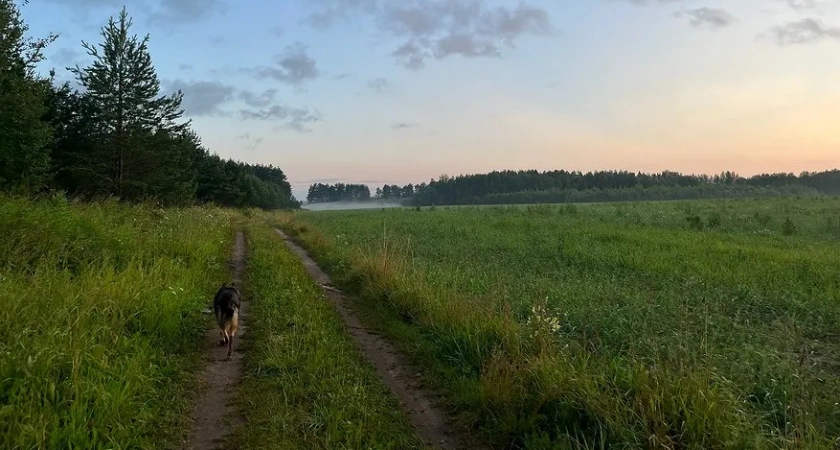 В Кирове расширили карантинную зону из-за уссурийского полиграфа