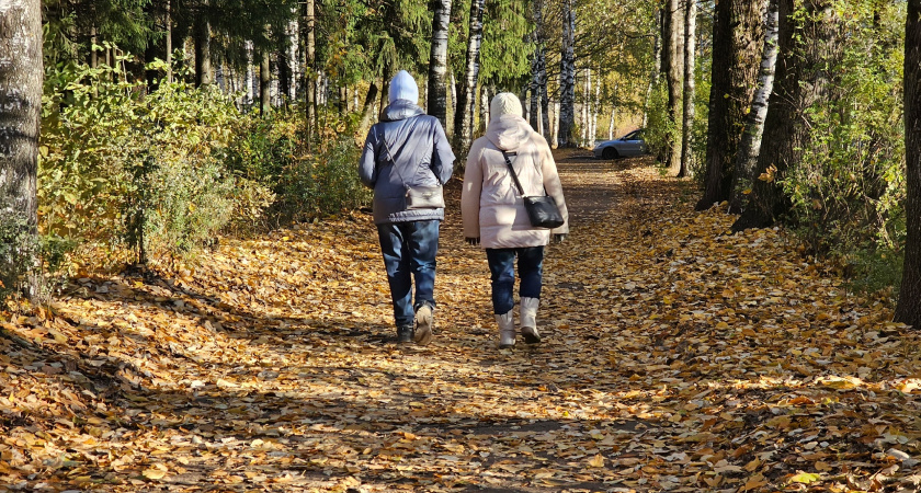 Ждать ли россиянам «бабьего лета»: когда оно наступит и сколько продлится