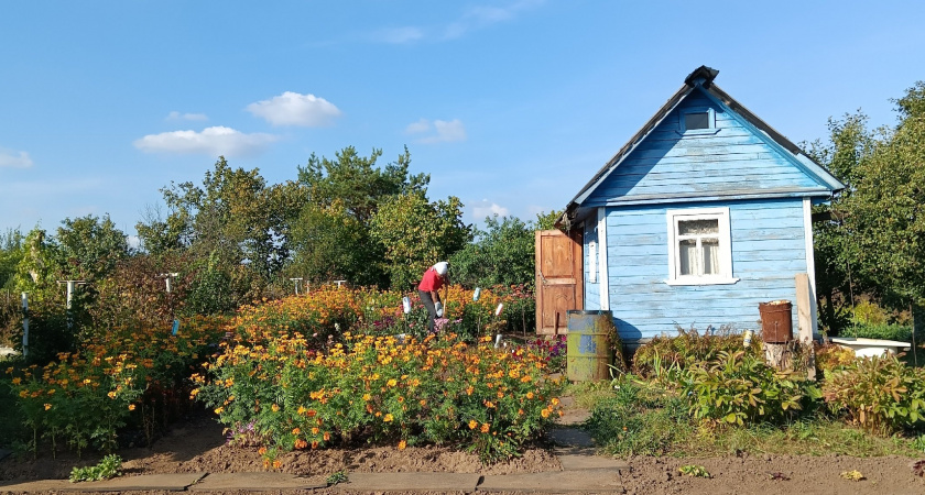 Два признака, что ваша дача оказалась на примете у садовых воров