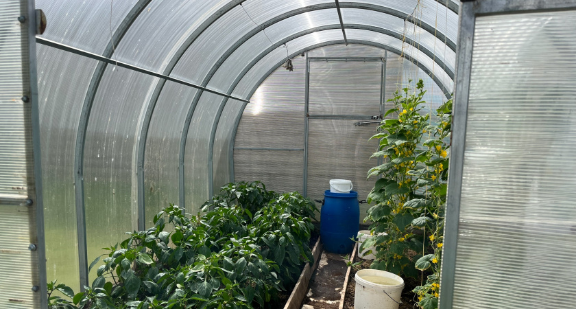 Я снял поликарбонат с теплицы и больше никогда не буду его использовать. Вот 3 причины, почему это материал прошлого века