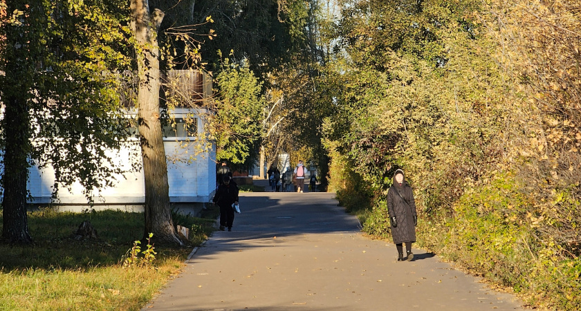 Бабье лето-2025: будет ли оно и когда ждать последнего тепла?