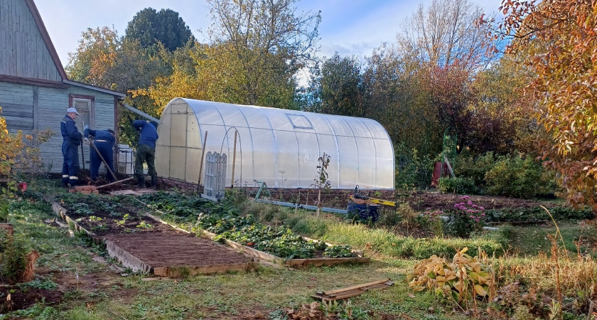 Чем обработать теплицу от фитофторы осенью? Проверенные способы для здорового грунта