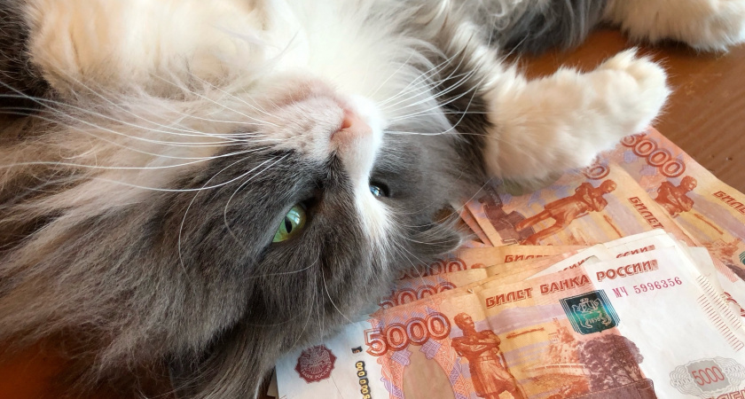 «Меня хотели заставить молчать»: история пенсионера, который нашёл алгоритм выигрыша и узнал, как на самом деле работают лотереи