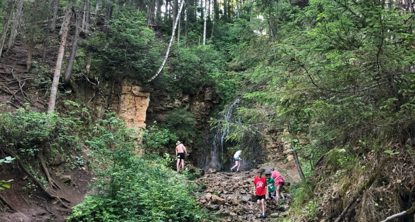 Лесоруб из Шабалинского района возместит экологии более 8 миллионов рублей