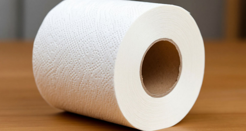 Попрощайтесь с туалетной бумагой — она пережиток прошлого: её замена намного эффективнее — в Европе во всю используют, а мы только начинаем