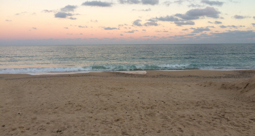 В этот красивый ад больше ни ногой: что отпугивает туристов от отпуска в Абхазии