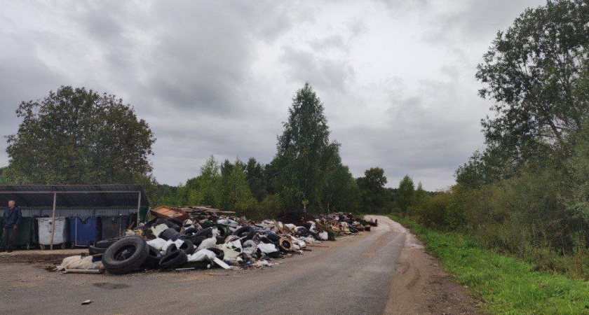 В Кирово-Чепецком районе контейнерная площадка превратилась в свалку
