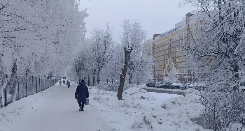 Какая зима ждёт россиян в 2026 году: синоптики назвали три главные опасности