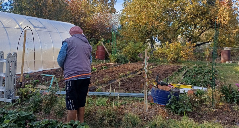 Опасно и глупо: какие деревья ни за что нельзя сажать рядом с домом