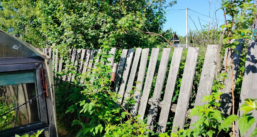Высокие заборы — это по-русски. Почему у американцев их нет? Объясняем на 7 примерах