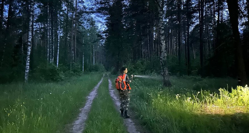 Кировские волонтеры обнаружили мертвыми четырех пропавших жителей региона