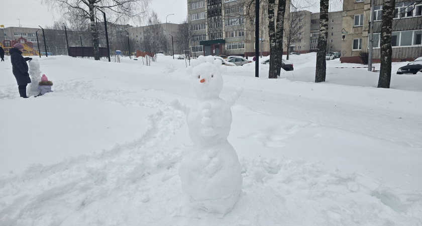Ученые бьют тревогу: какие климатические сюрпризы ждут Россию этой зимой и к чему готовиться