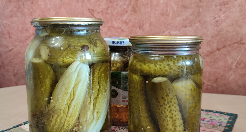 Почему огурцы в заготовках мягкие, не хрустят, невкусные, склизкие: причины по которым не получаются огурцы в засолке или маринаде