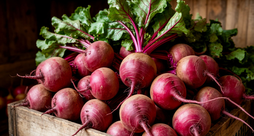Как я сохраняю свеклу сочной до мая без погреба. Проверенные дедовские методы