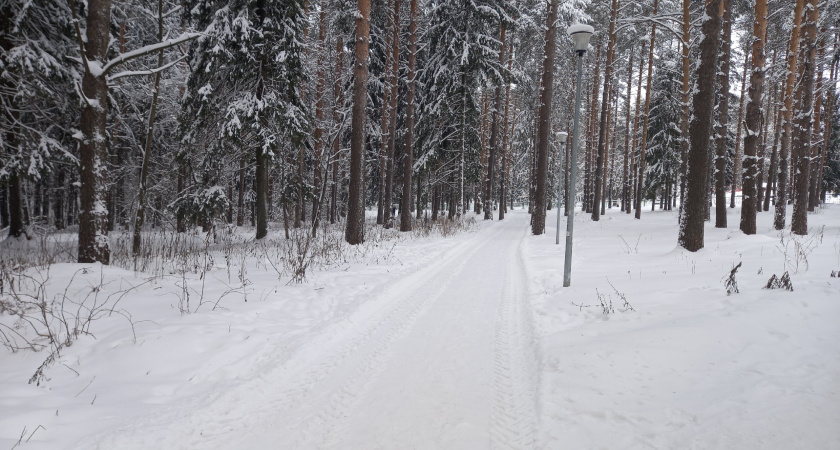 Зима будет аномальной: синоптики сказали, к чему готовиться россиянам