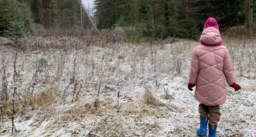 В Кировской области ожидаются сильные заморозки до минус 3 градусов