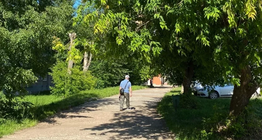 В Кировской области ожидается теплая погода без осадков