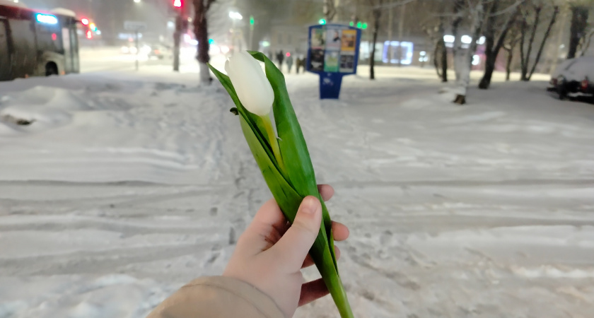 Аномальная зима на пороге: что ждет россиян, объясняют синоптики