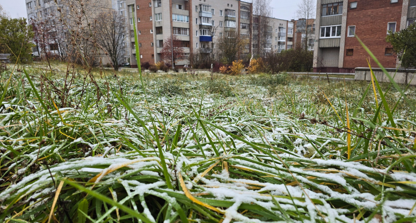 Готовьтесь к сюрпризу: синоптики обнародовали точный прогноз на осень - первые заморозки ударят раньше срока
