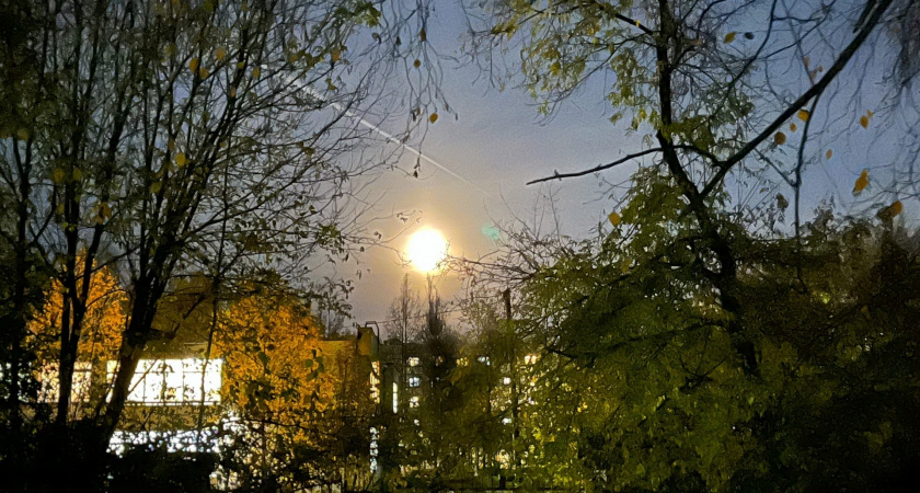 В Кировской области ожидается редкое покрытие Венеры Луной при дневном свете