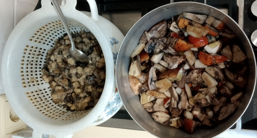 Не выбрасывайте червивые грибы: есть хитрость, как за 5 минут вернуть их к жизни