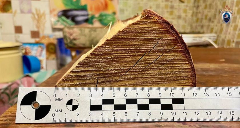 Житель Лузы учинил кровавую расправу над приятелем и уехал в другой регион