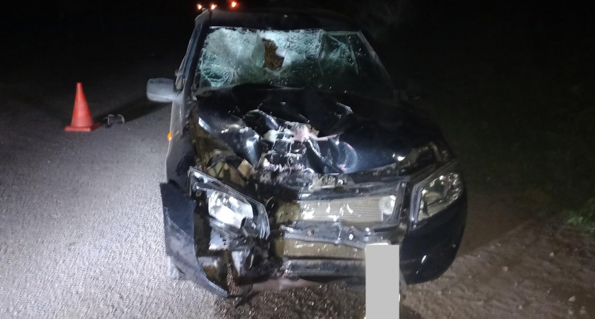 Пожилая виновница смертельного ДТП под Кирово-Чепецком стала фигуранткой дела