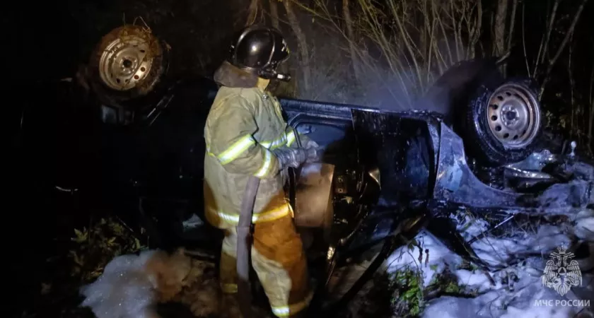 В Кировской области вспыхнула машина после аварии с участием лося