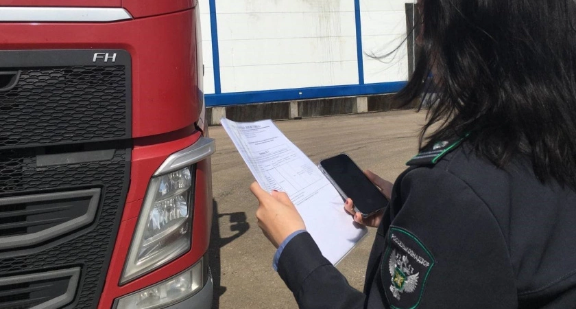 Из Кировской области отправили 114 тонн куриных лапок в Китай