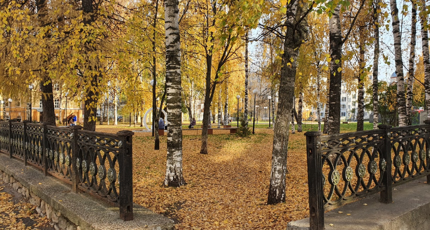 Старое бабье лето накроет теплом: как долго оно продлится