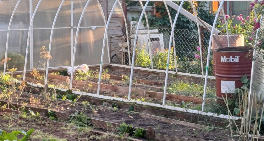 Компост к весне будет лучше навоза: секретный «ускоритель» превратит мусор в золото для грядок